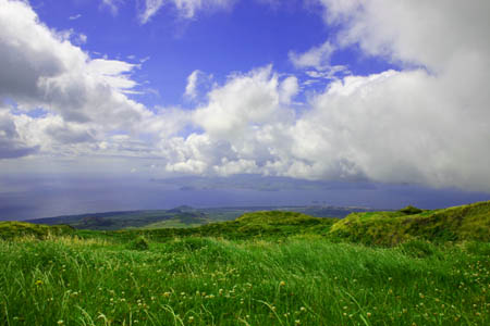 Pico Island - Landscape